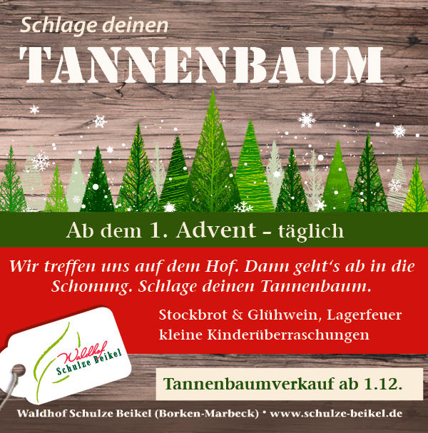 Tannenfest, Tannenbaum schlagen und Tannenbaumverkauf